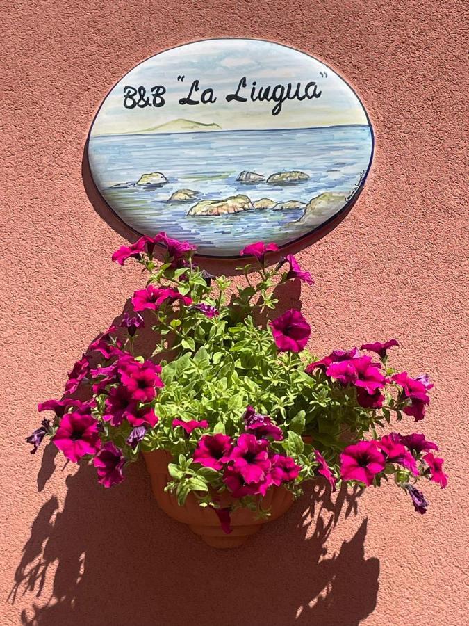 B&B La Lingua Procida Luaran gambar